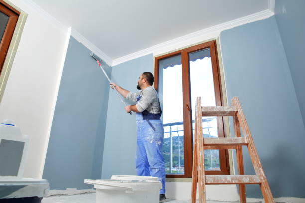 Best Basement Mold Removal  in Elizabethtown, PA