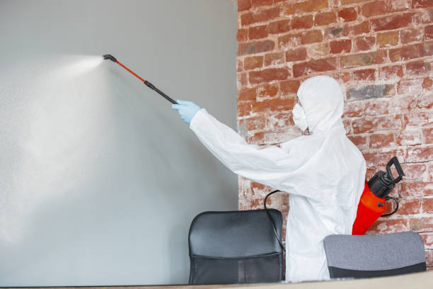 Dehumidification Services in Elizabethtown, PA