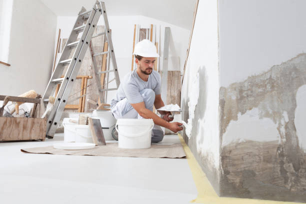 Best Mold Damage Restoration  in Elizabethtown, PA