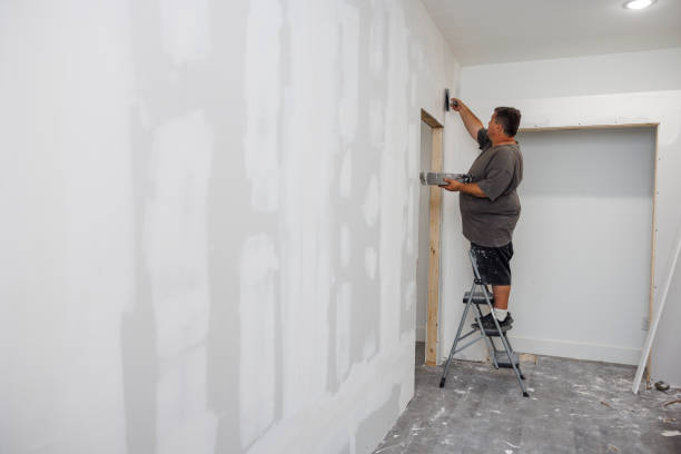 Best Mold Documentation for Insurance Claims  in Elizabethtown, PA