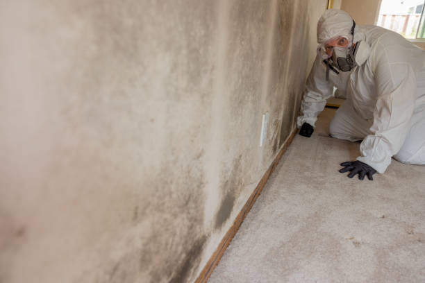 Best Crawl Space Mold Remediation  in Elizabethtown, PA